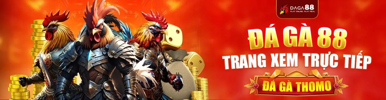 Đá Gà Trực Tuyến ok365vip Chính Thức